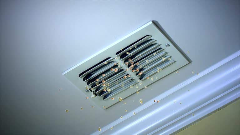 Best Dryer Vent Cleaning Services  in Salinas, CA
